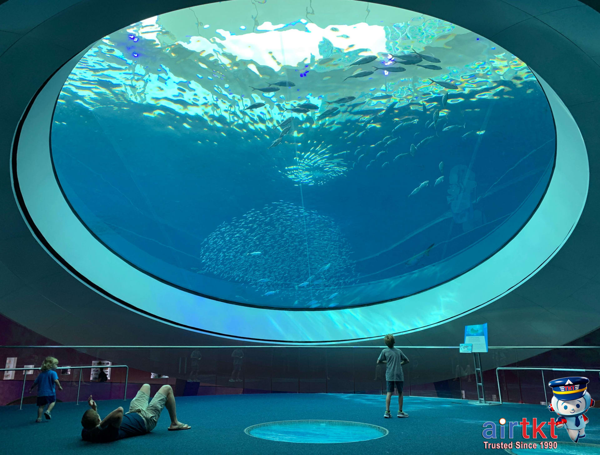 Family-friendly attractions at Tampa aquarium with people viewing marine life