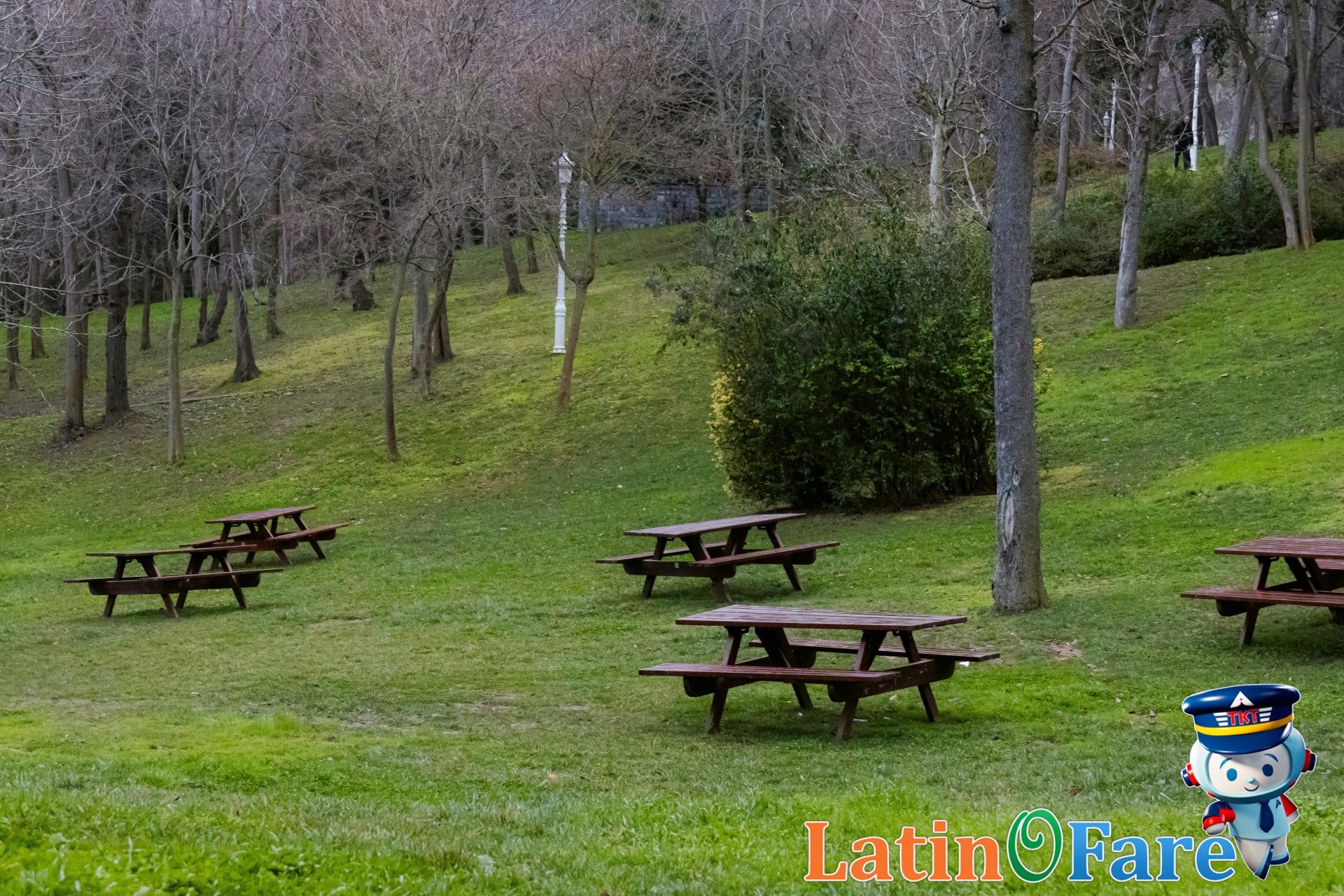 Labor Day travel nature escape park picnic at the end of summer with families relaxing