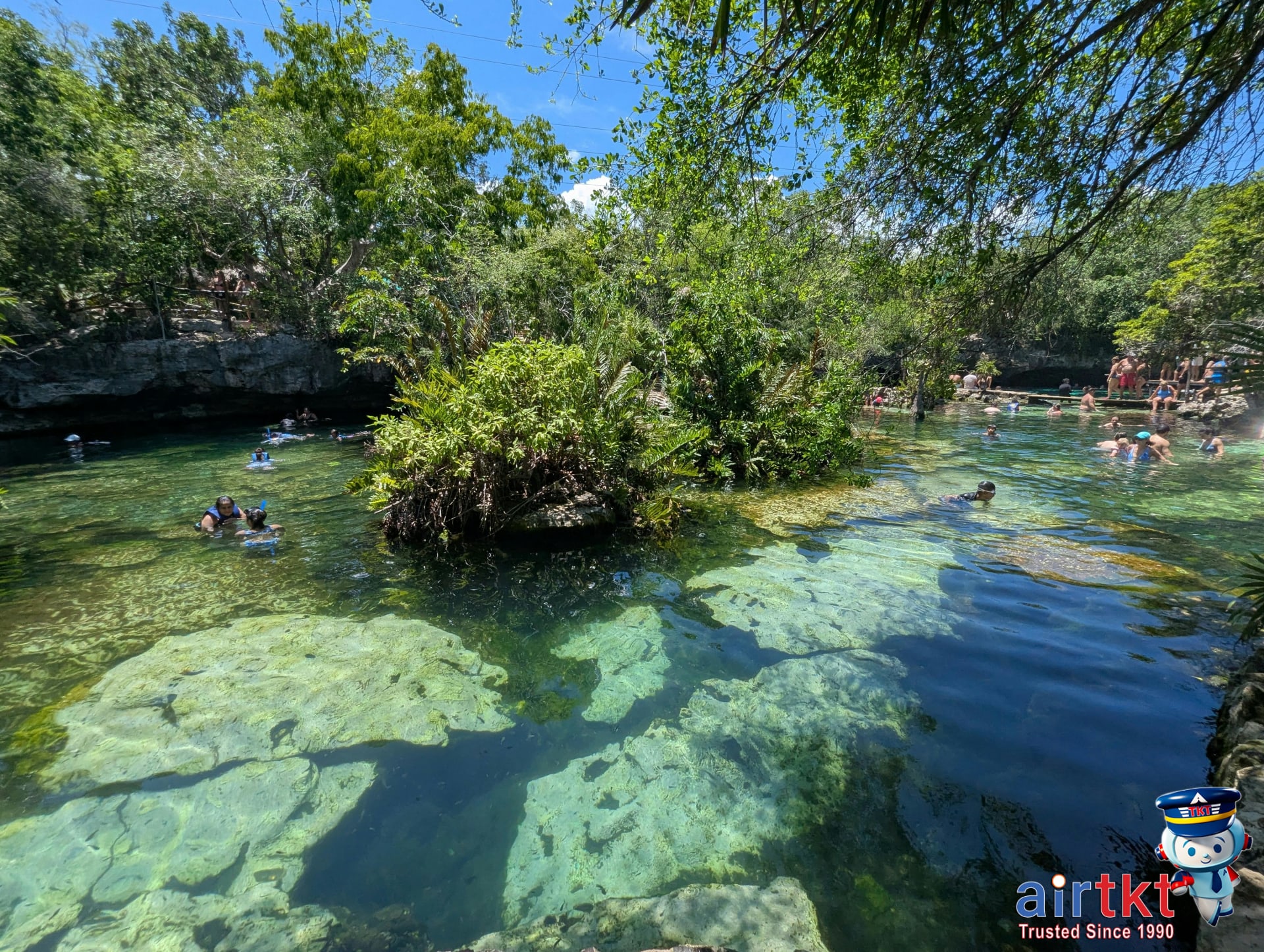 Swimmers exploring a natural cenote surrounded by greenery in Cancun