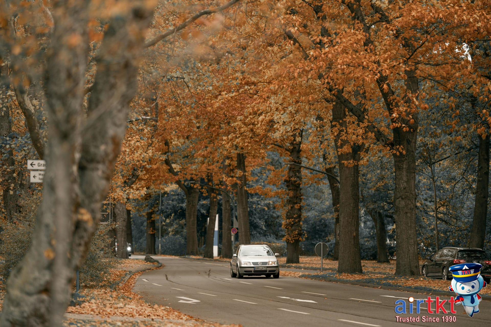 Car driving on scenic road with vibrant New England autumn foliage colors
