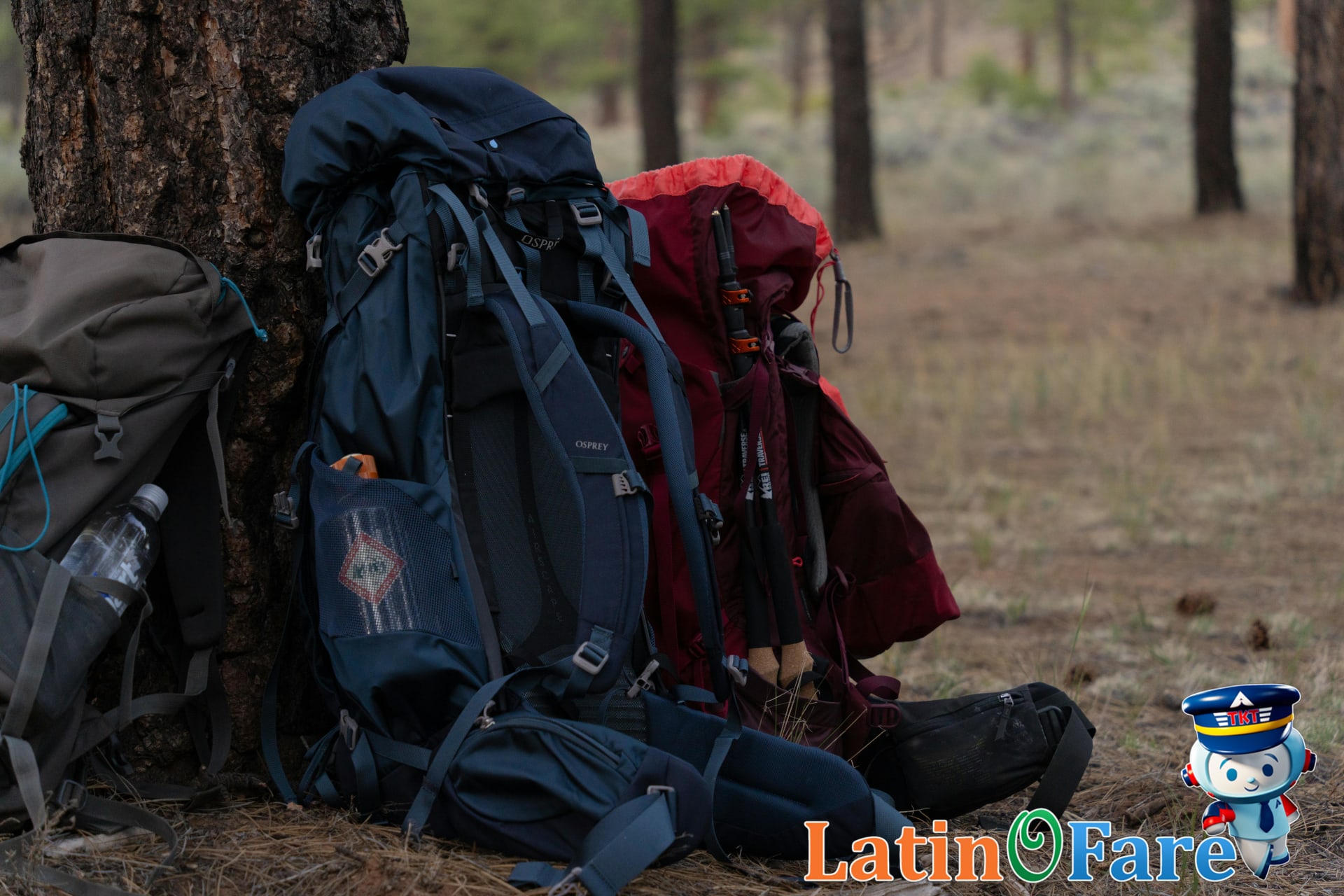 Trekking essentials daypack water bottle hat and camera for Machu Picchu trip prep