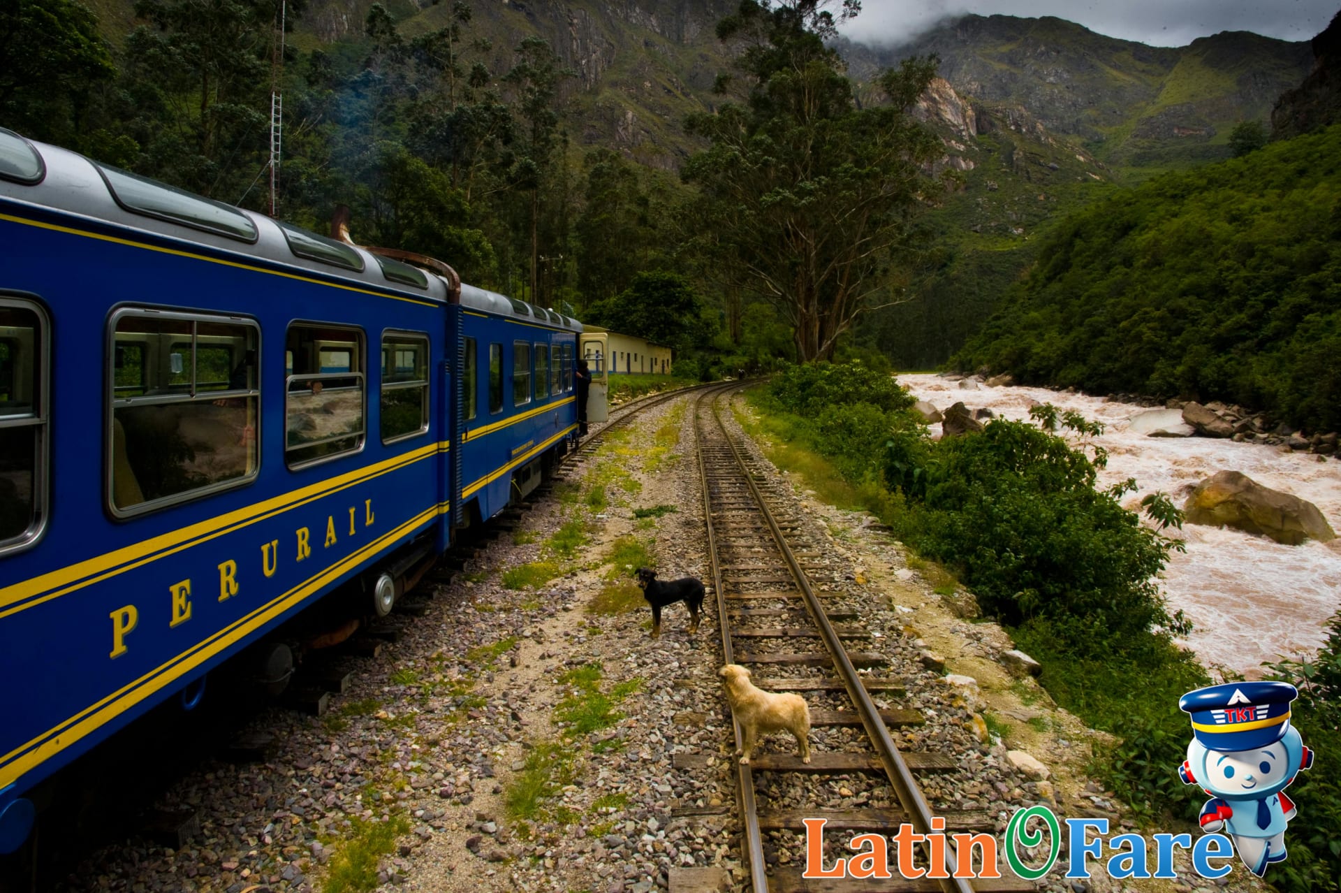 PeruRail train winding through green mountains on route to Machu Picchu lost city