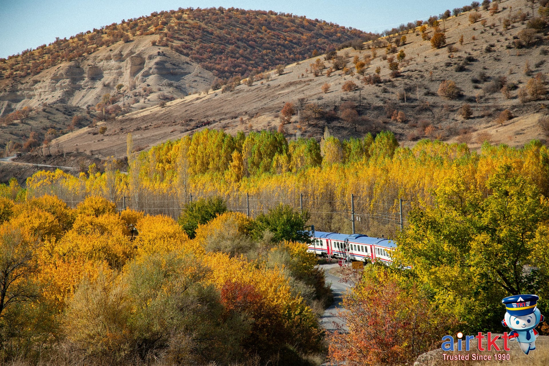 Amtrak train traveling during fall season through colorful forest