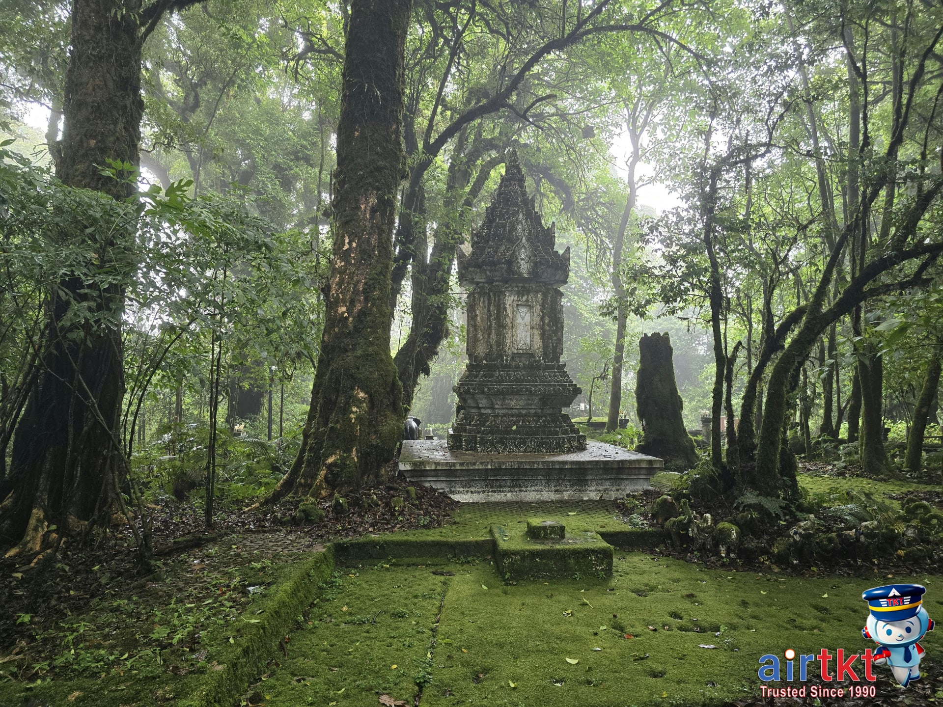 Hikers exploring lush Doi Inthanon National Park in Chiang Mai