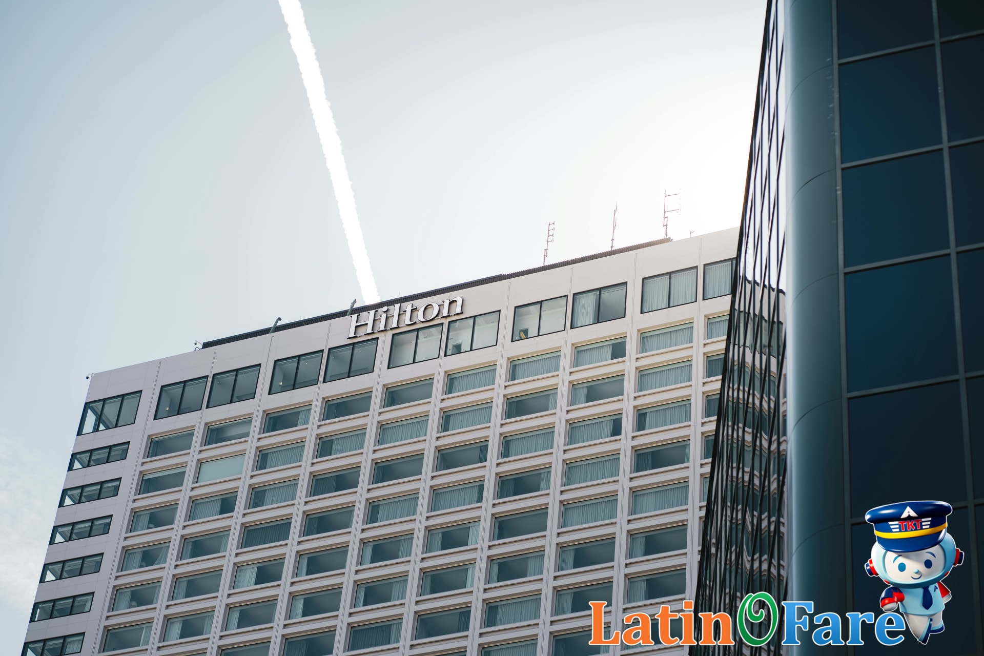 Various Hilton hotels showcasing diversity of Hilton Honors locations for loyalty program members