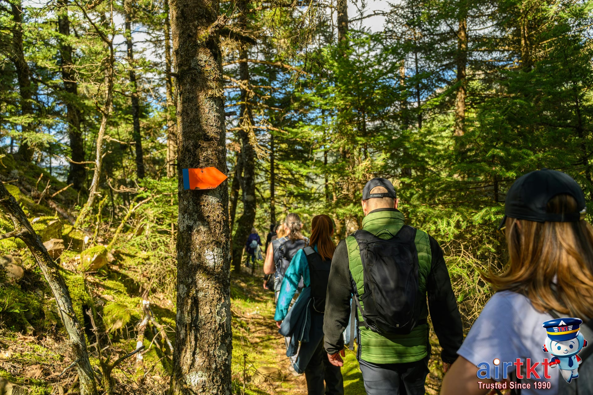 Hikers on Catskills trail surrounded by lush green forest scenery.