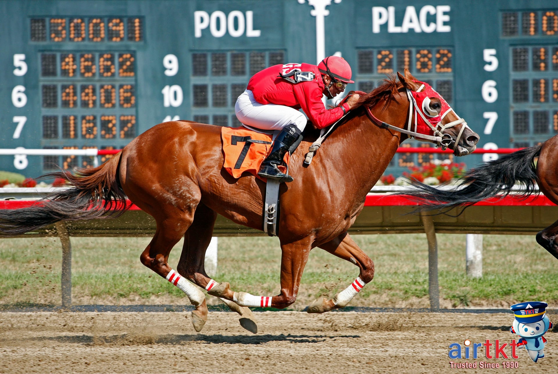 Crowds cheering during the thrilling final moments at Kentucky Derby horse race