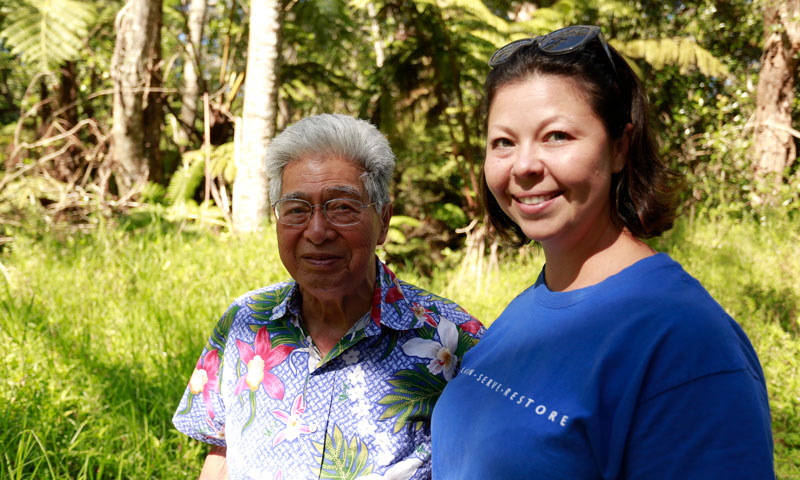 ʻŌhia outplanting 2014