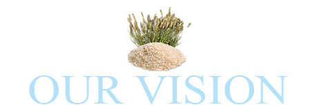 vision