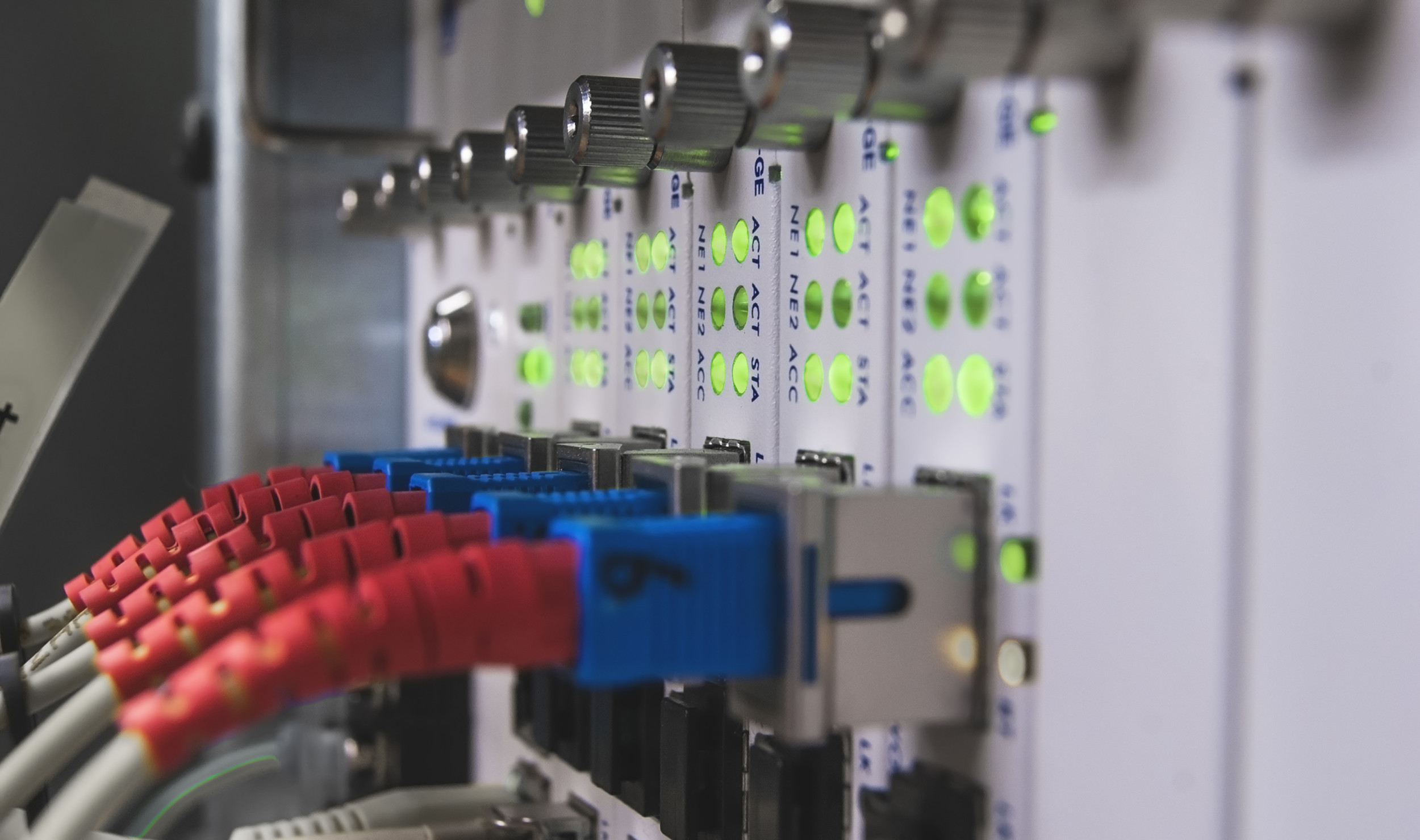 Business Network Services