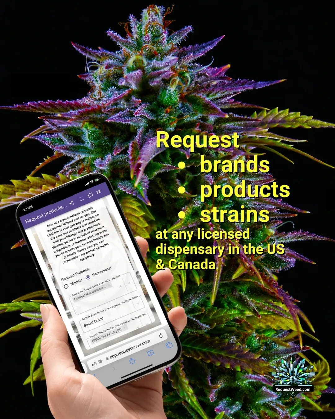 Scan. Engage. Convert: How SmartQRL Supercharges Cannabis Customer Engagement