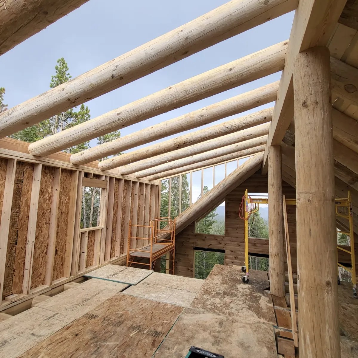 Cozy, Efficient, and Rustic: Energy-Smart Design Tips for South Park Homes