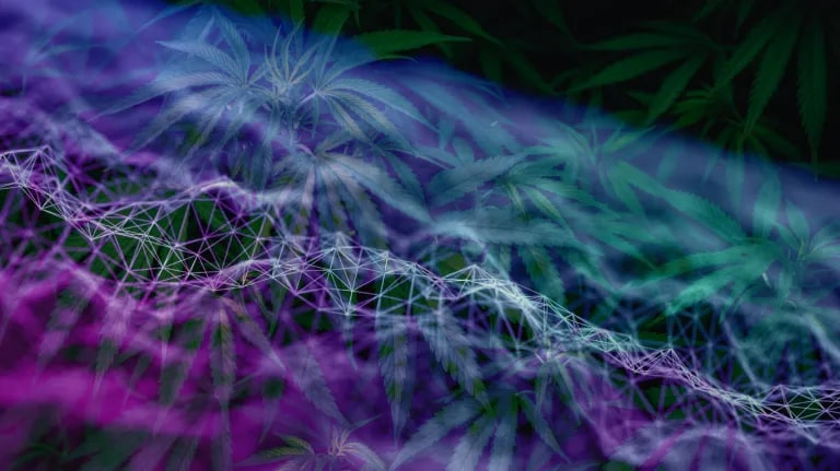 Community-Driven Cannabis Retail: A Playbook for Dispensaries