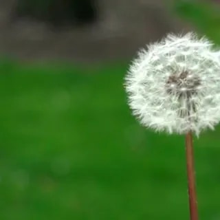 From Second-Guessing to Self-Belief: How Hypnosis Helps Kids and Teens Speak Up and Step In