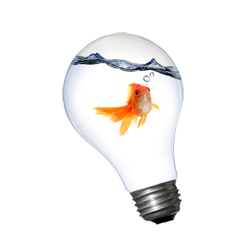 Fish In Lightbulb