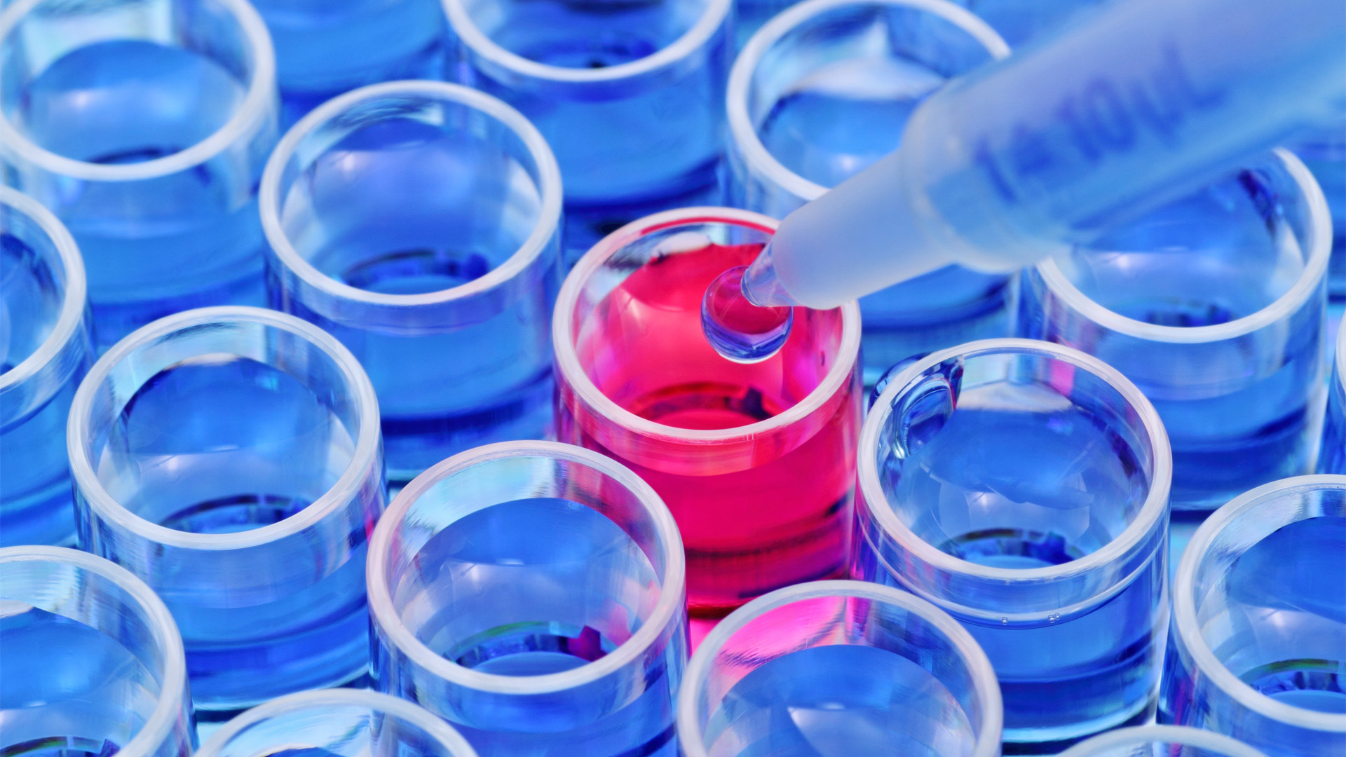 GLP-1 Market: Opportunities for Small Pharma Companies GLP-1 Market: Opportunities for Small Pharma Companies
