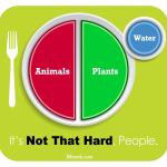 Paleo Plate Paleo nutrition
