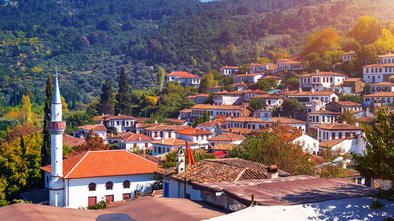 Ephesus & Sirince Village Tour Picture