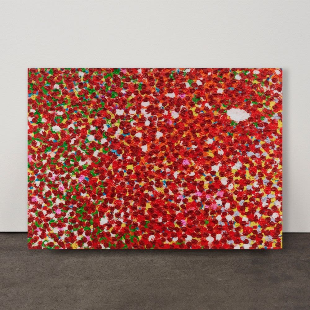 Ryoanji-Damien Hirst-1