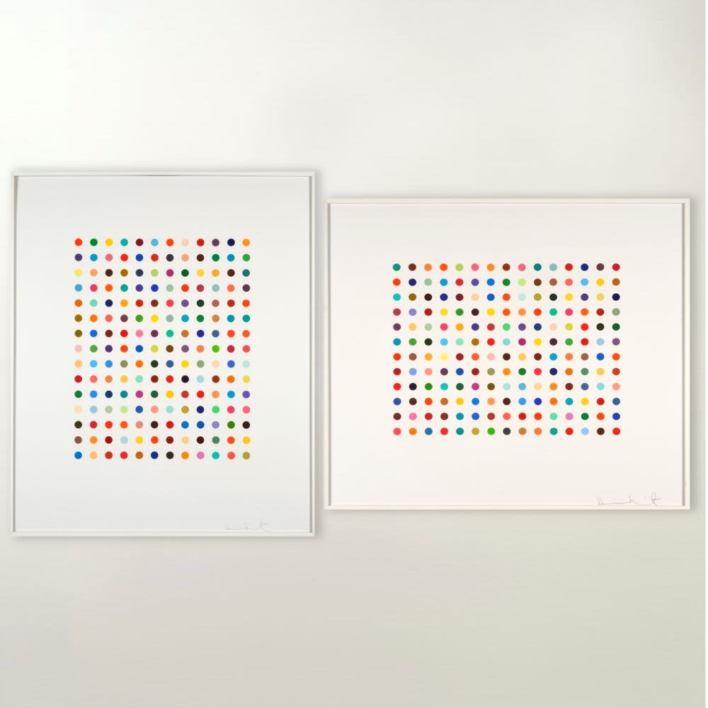 Ethidium Bromide Aqueous Solution and Pyronin Y-Damien Hirst-1