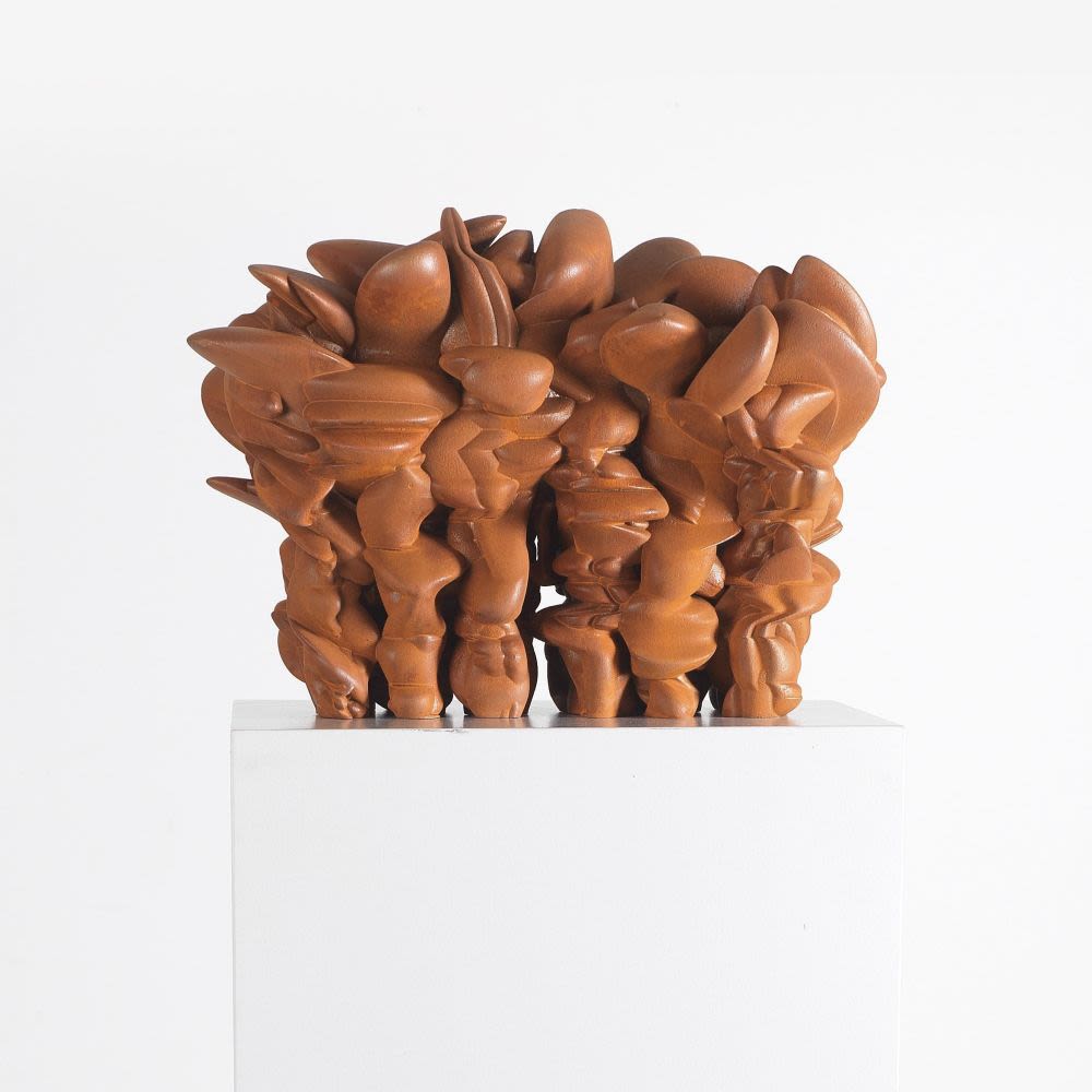 Grenze Weg-Tony Cragg-1