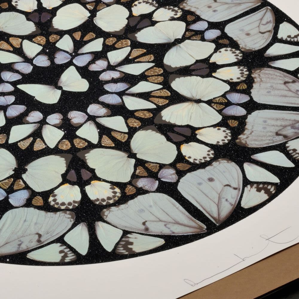 Damien Hirst 