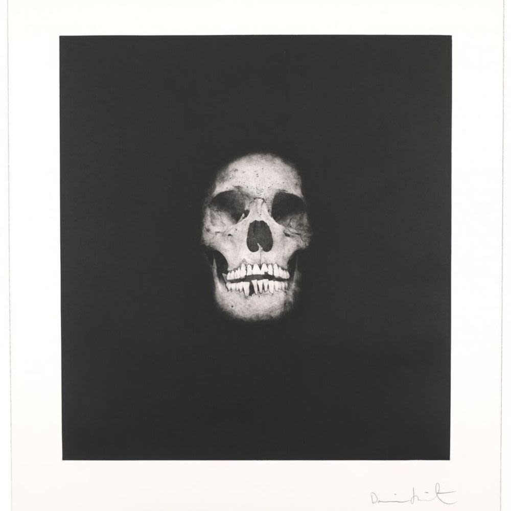 デバイスワークスSKULL DERUTAS DEATH デバイスワークスSKULL DERUTAS DEATH Deviseworks Camp