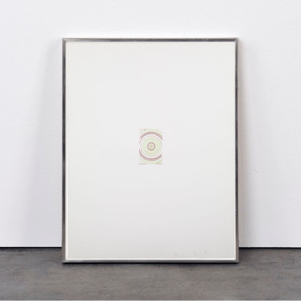 In a Spin (from In a Spin, the Action of the World on Things, Volume I)-Damien Hirst-1
