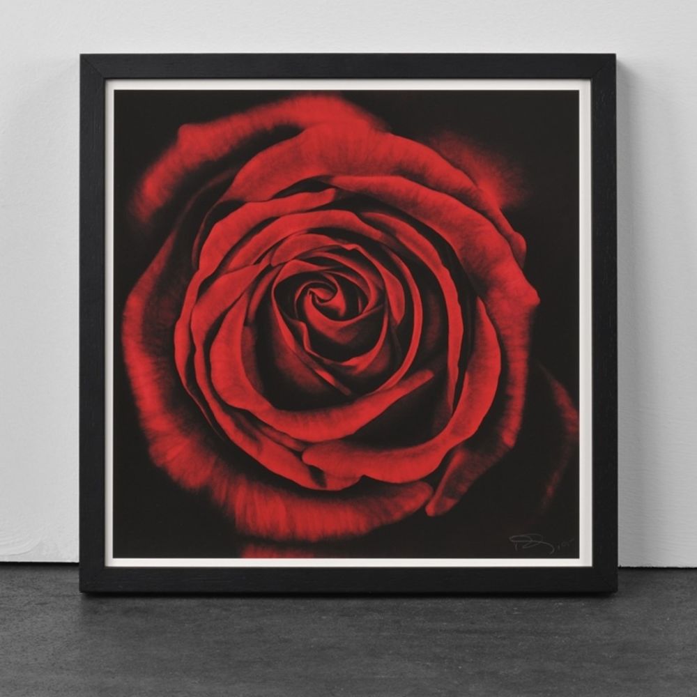 Untitled (Rose, from Ophelia)-Robert Longo-1