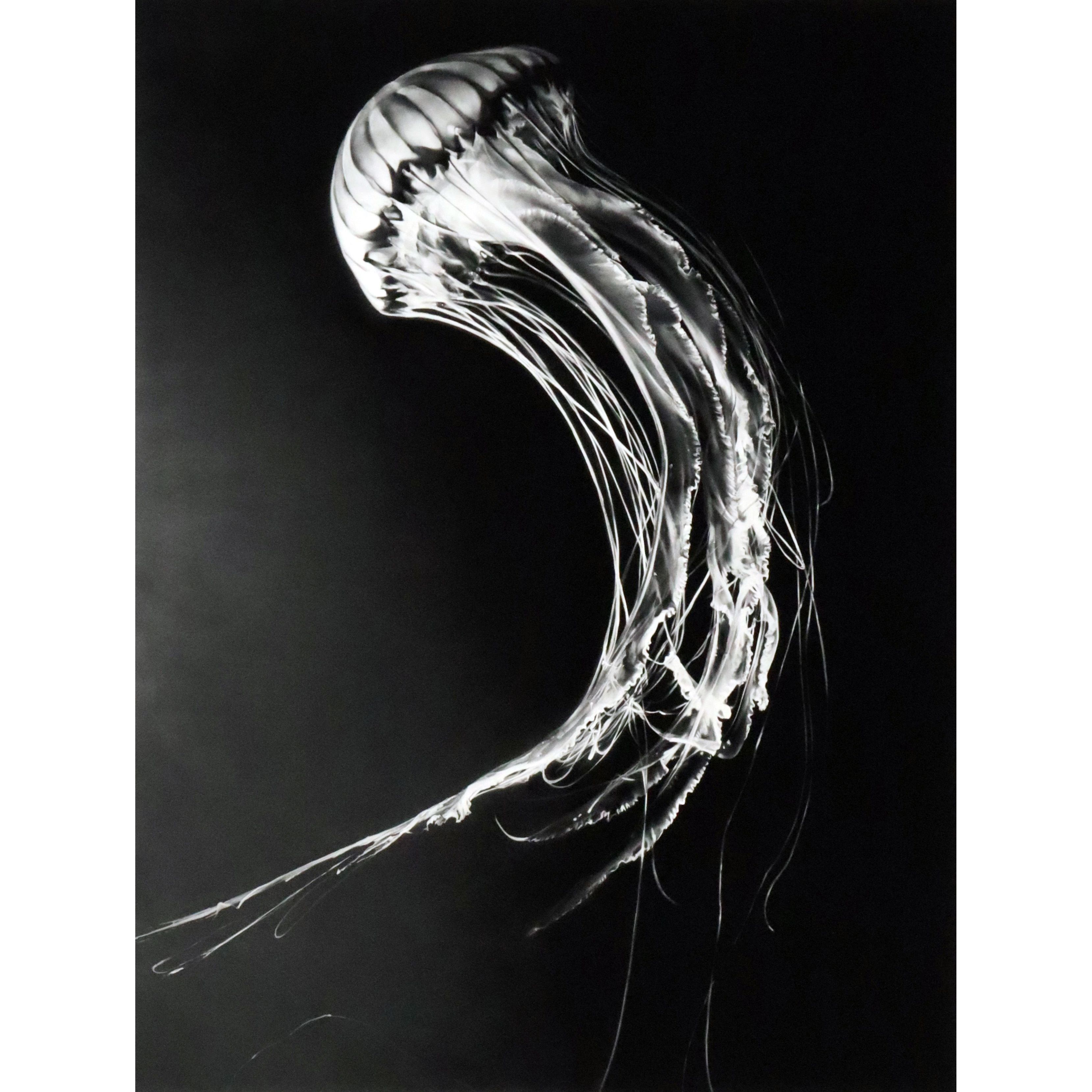 Rumi-Robert Longo-1