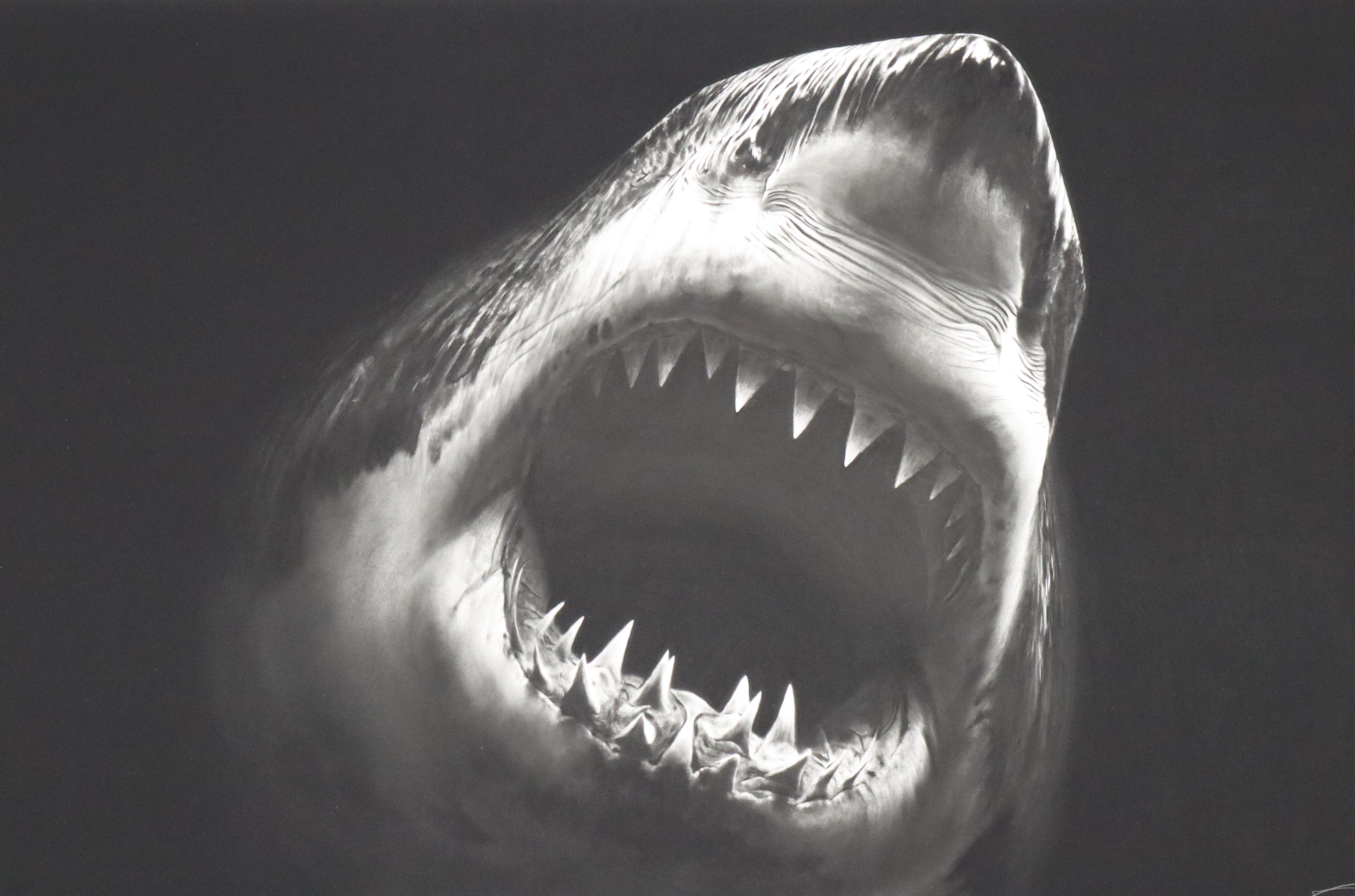 Bruce-Robert Longo-1