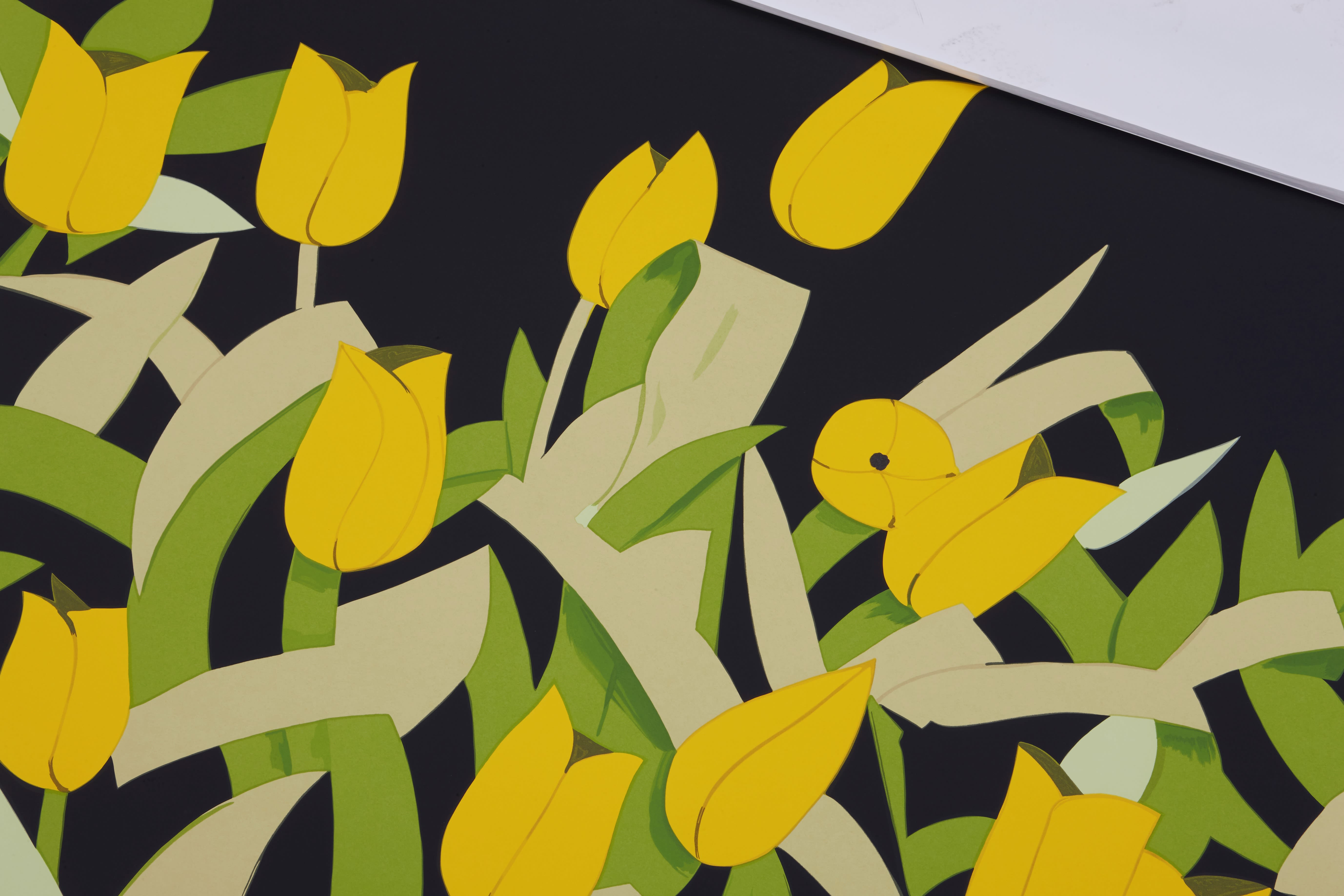 Alex Katz Vintage 1980 Pop Art Lithograph Print Framed