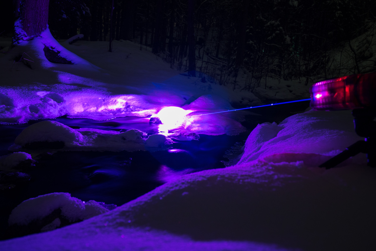 _1220873.jpg