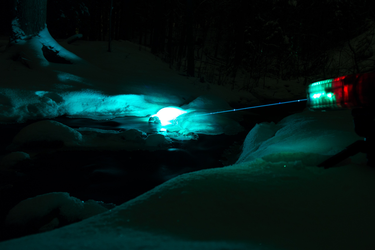_1220880.jpg