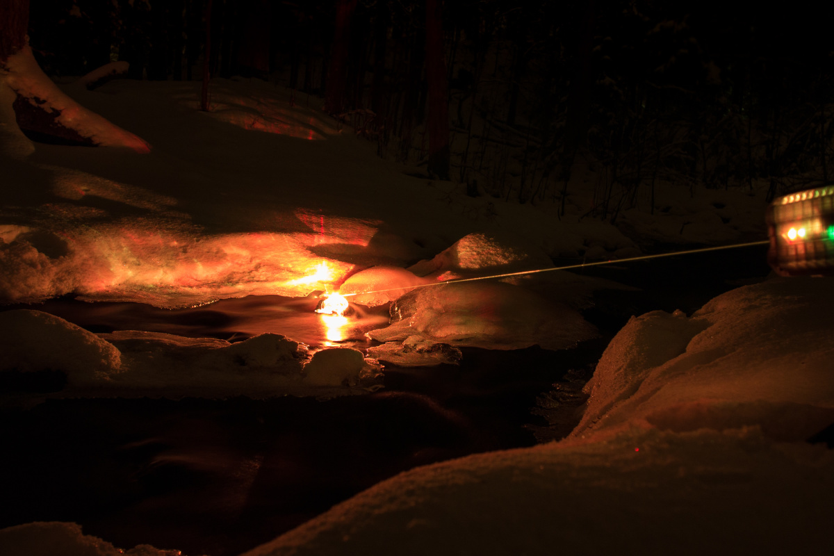 _1220892.jpg