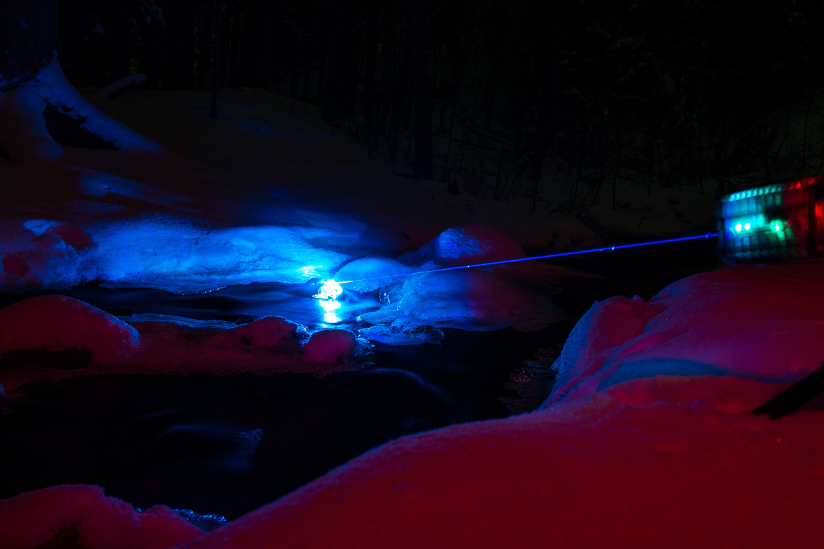 _1220895.jpg