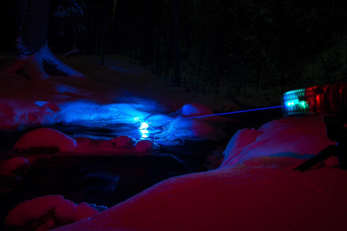_1220896.jpg