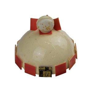 Bombe Fine France