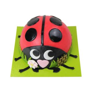 Coccinelle