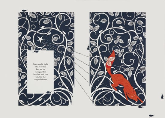 Illustration by Coralie Bickford-Smith