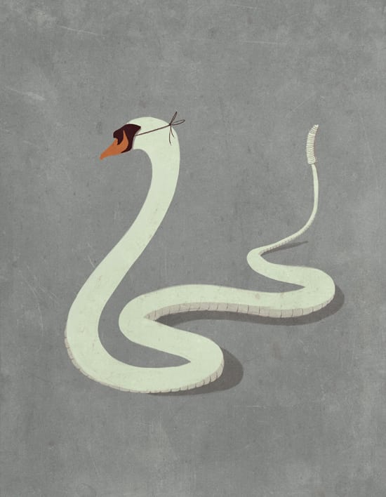 Illustration by Andrea Ucini