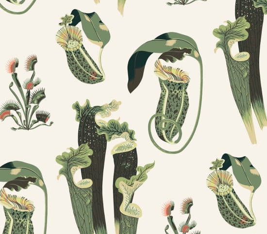 Illustration by Allison Bamcat