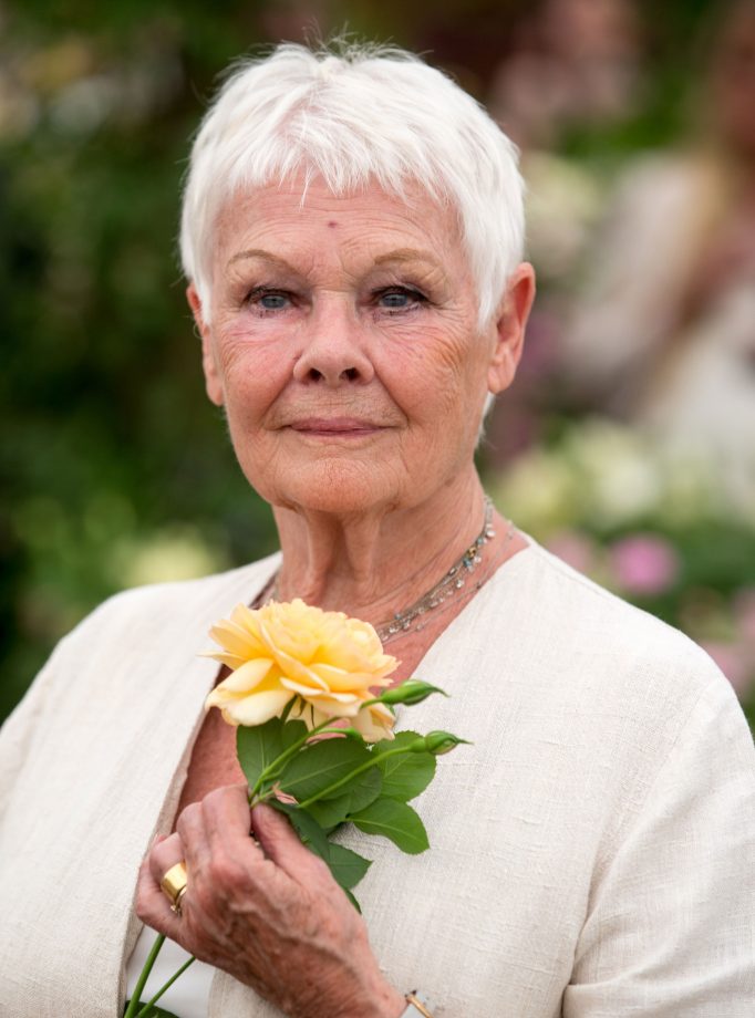 judi-dench-eyesight-682x920_lfnbri.jpg