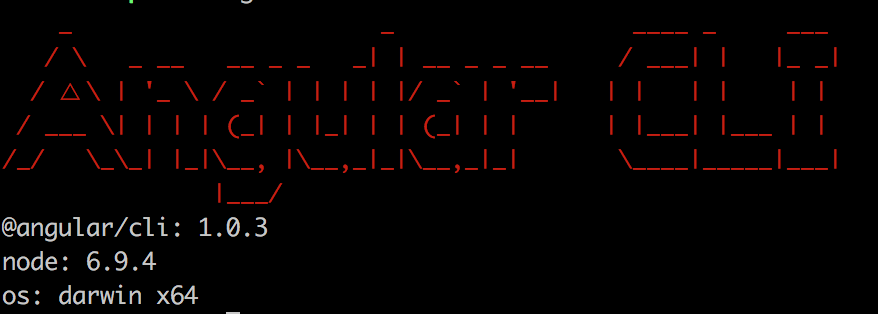 ngversion