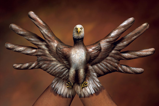 Bald Eagle 2 hands by Guido Daniele - grandes pássaros voam alto
