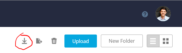 Click the download icon in the upper-right corner of the screen