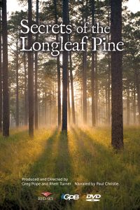 Secrets of the Longleaf Pine