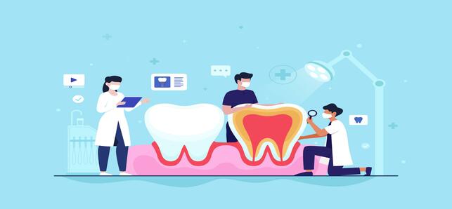 Dental health is maintained by the dentist and insurance plans