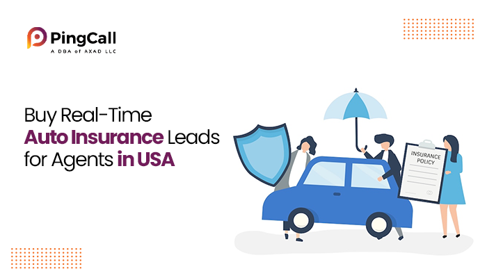 Take Advantage Of Auto Insurance Leads For Agents to Find Varied Insurance Options