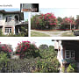 รูปของอสังหา 'ขายบ้านเดี่ยว ใน บ้านหมอ, บ้านหมอ, สระบุรี' รูปของอสังหา 'ขายบ้านเดี่ยว ใน บ้านหมอ, บ้านหมอ, สระบุรี'
